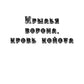 Крылья ворона, кровь койота