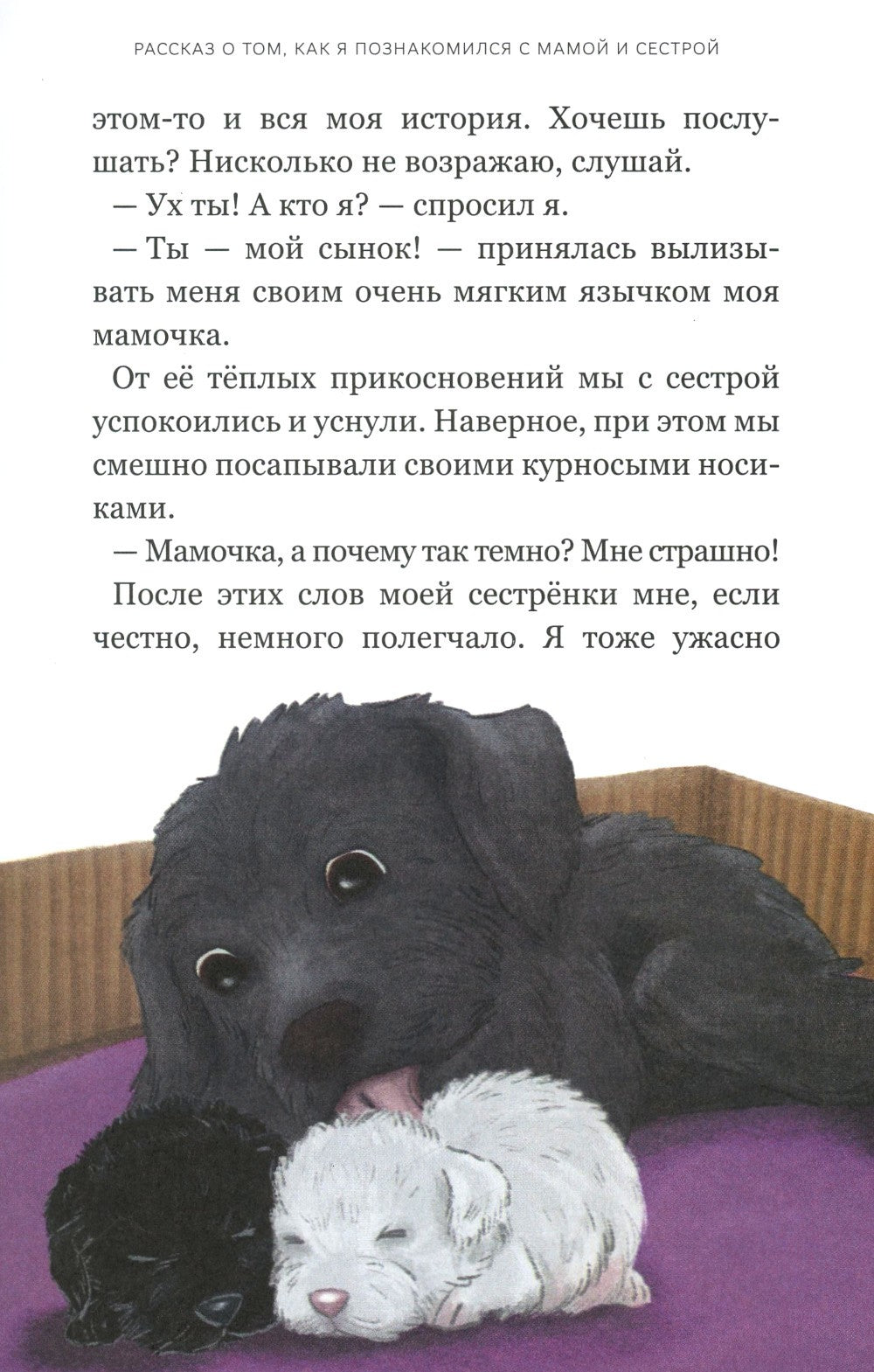 Записки лохматого щенка