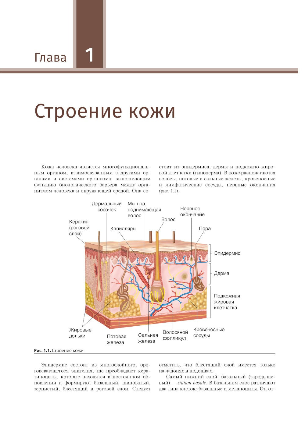 Иллюстрированное руководство по дерматологии. Для подготовки врачей к аккреди...