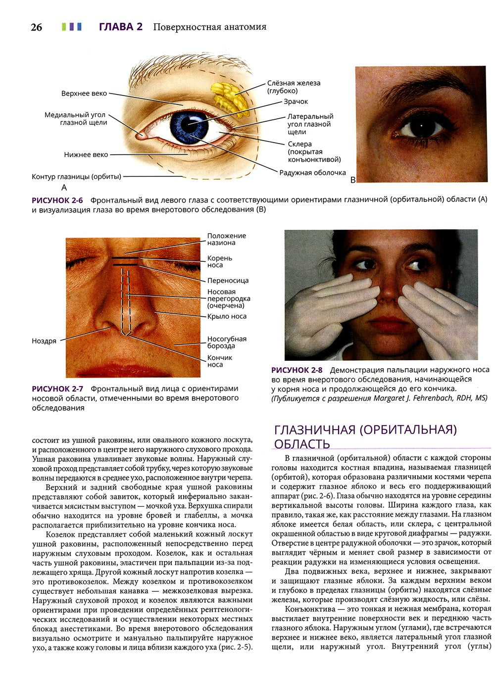 Иллюстрированная анатомия головы и шеи. 5-е изд