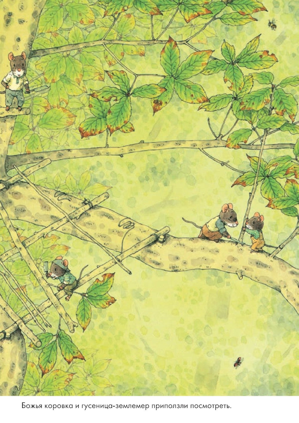 14 лесных мышей. Ужин с луной