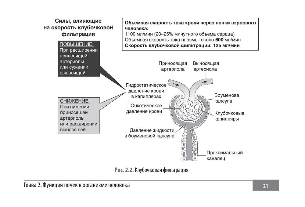Клинические нормы. Нефрология