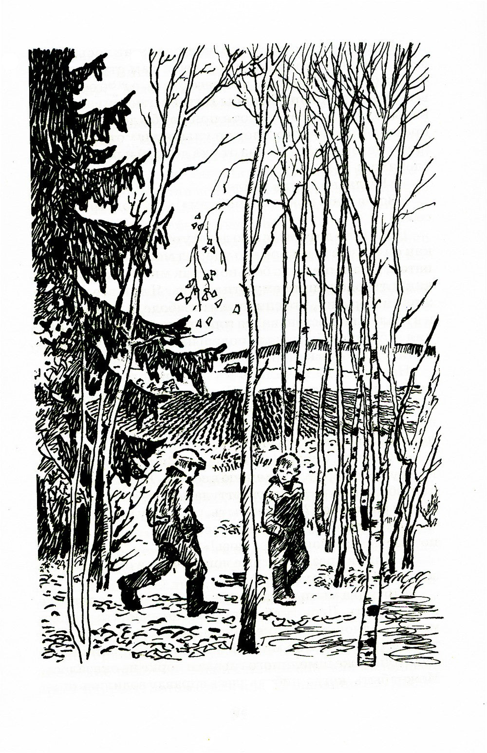 Камешки на ладони: рассказы