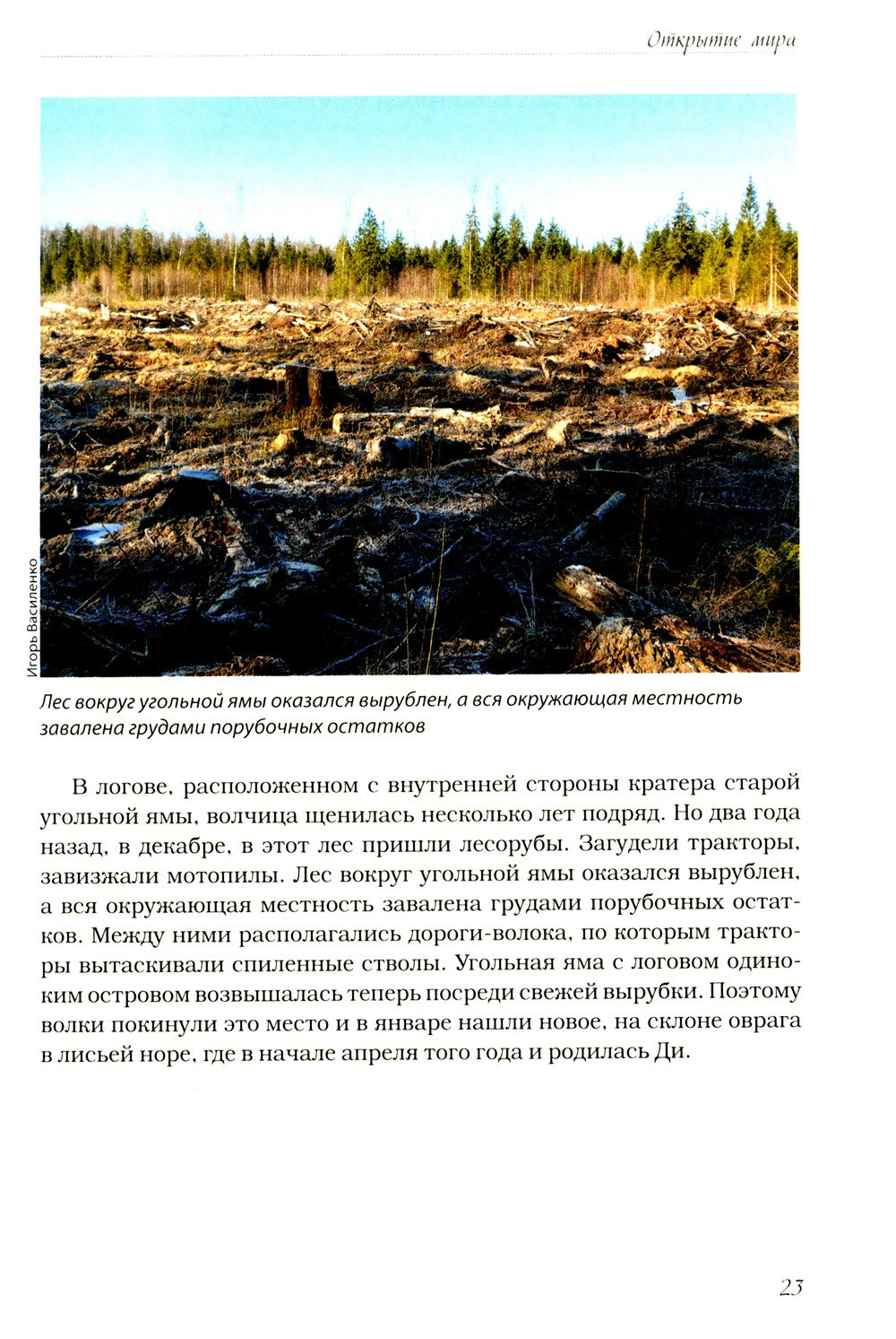 Волчьими тропами. Лесная быль