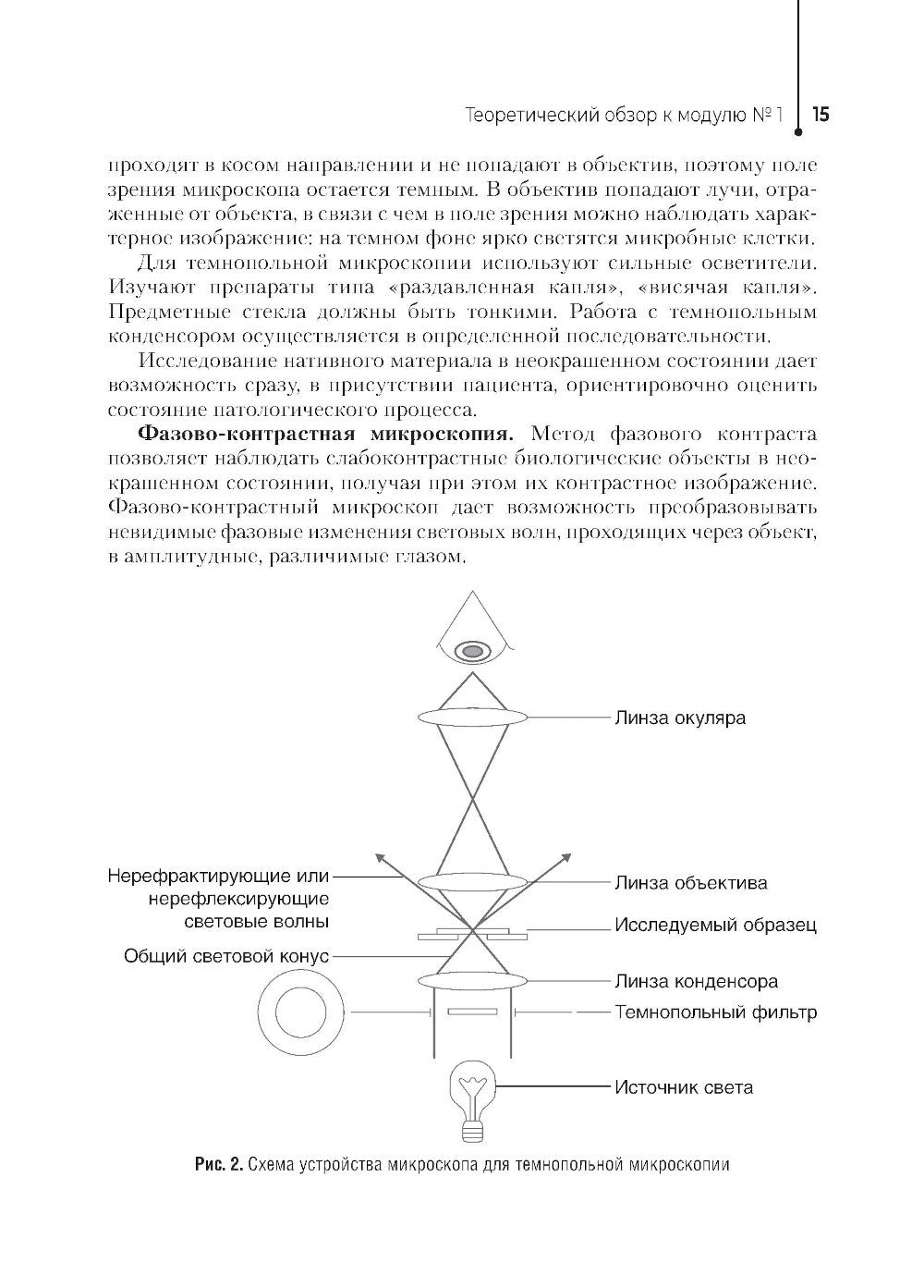 Основы микробиологии и инфекционная безопасность. Лабораторный практикум: Уче...