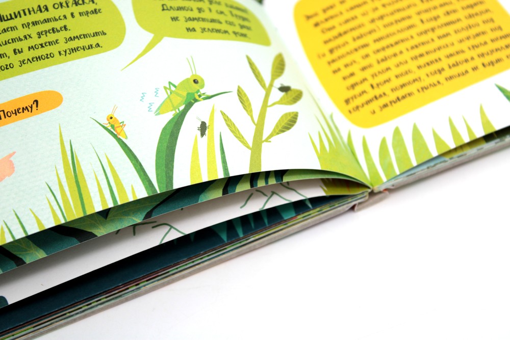 Вокруг лесов: исследуем уникальные уголки планеты