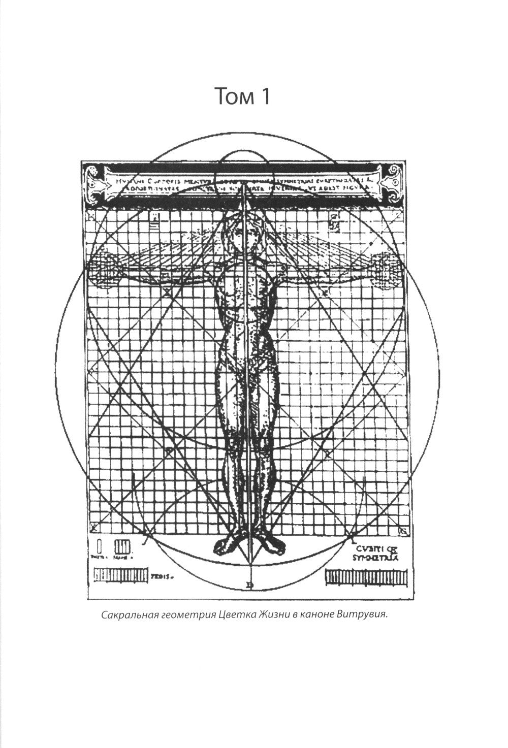 Древняя Тайна Цветка Жизни