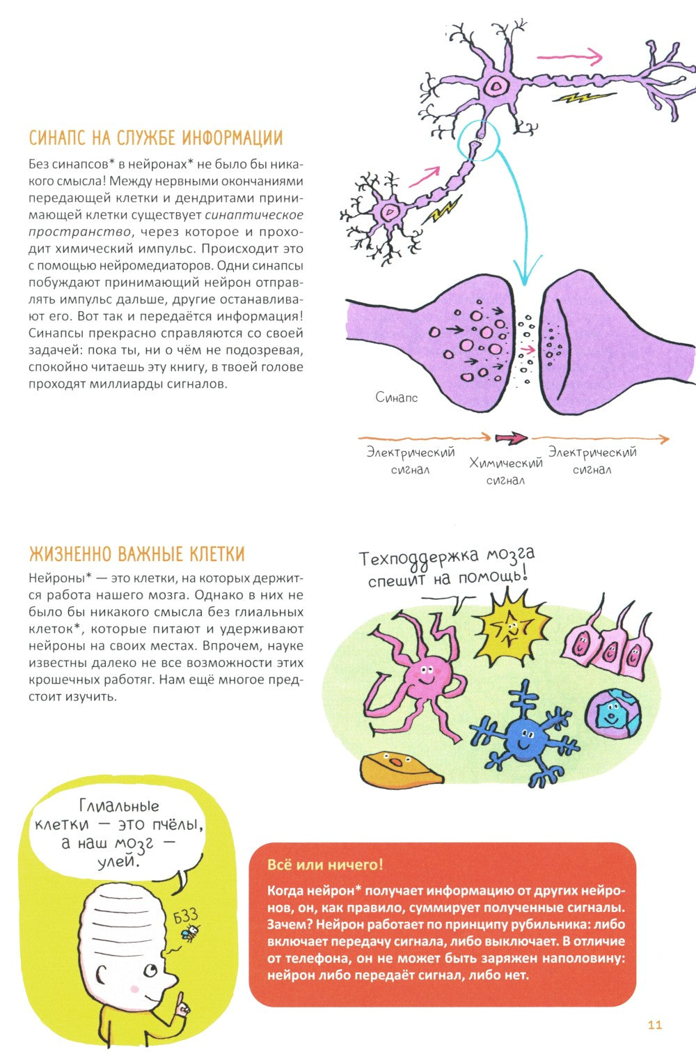 Супермозг. Детские вопросы про интеллект и память