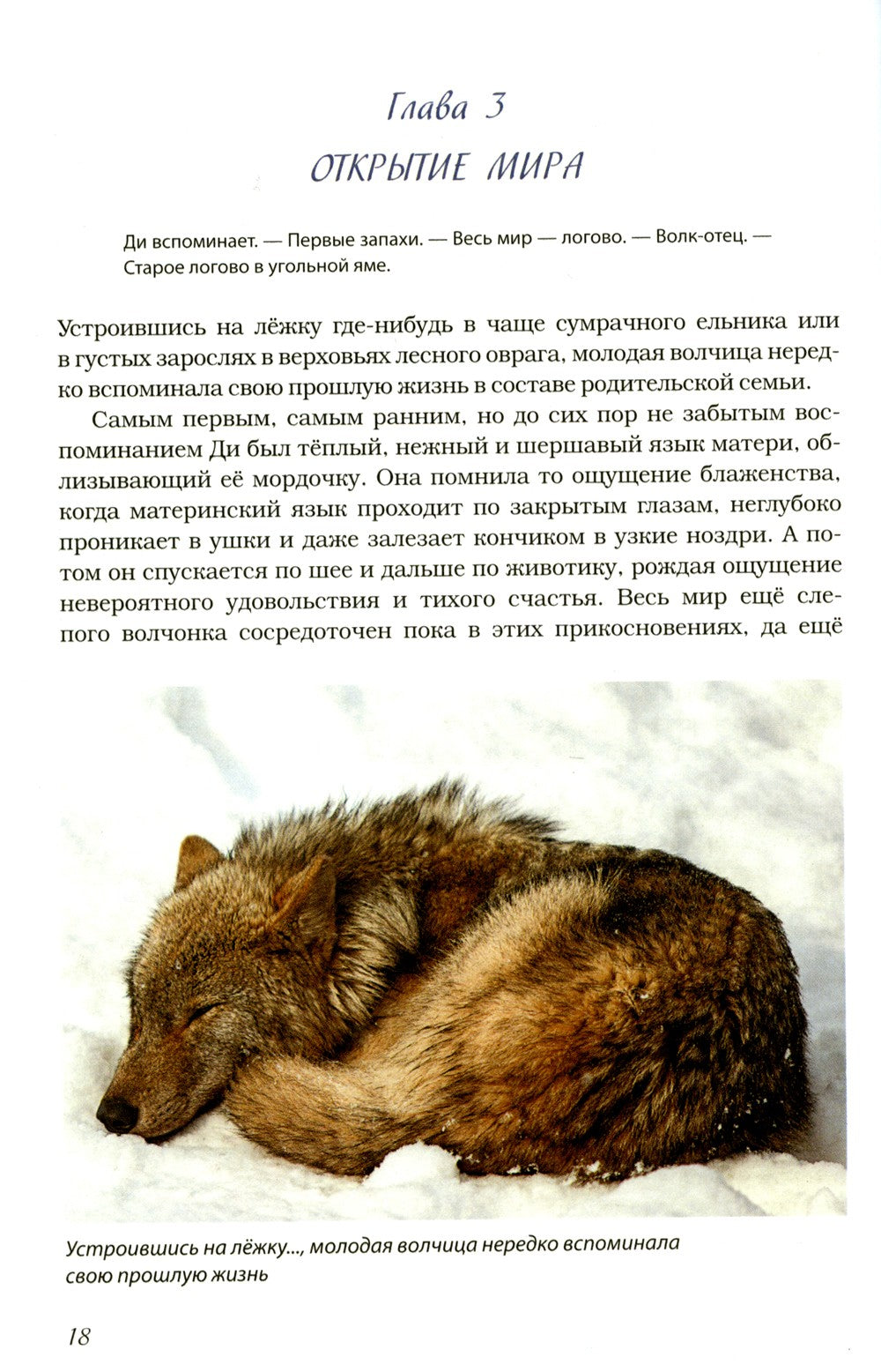 Волчьими тропами. Лесная быль