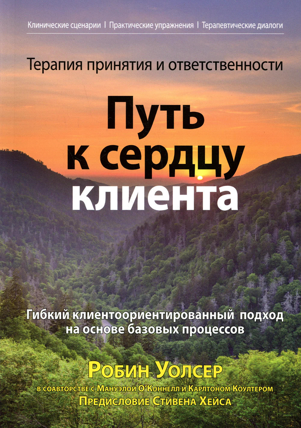 Терапия принятия и ответственности: путь к