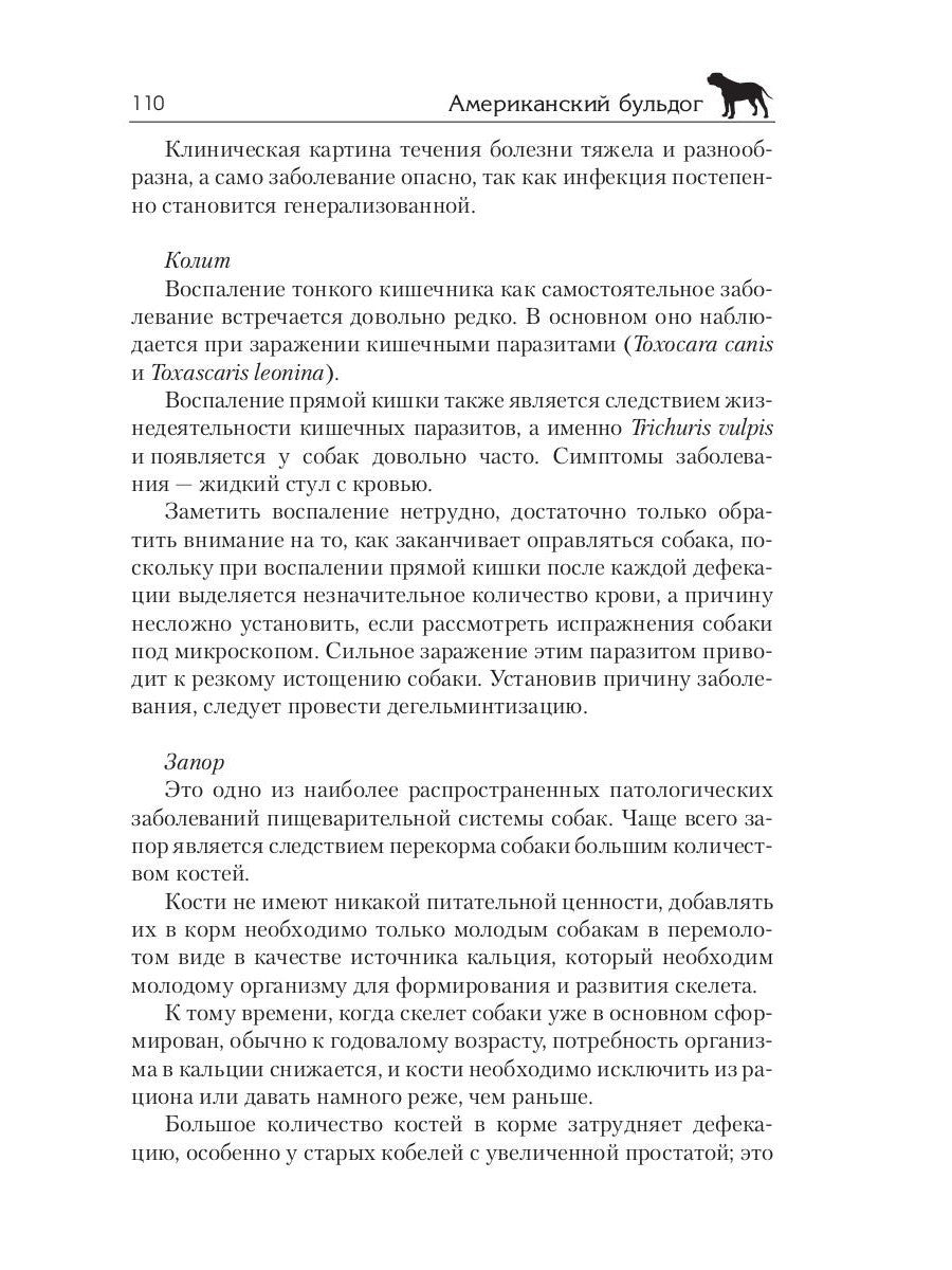 Американский бульдог