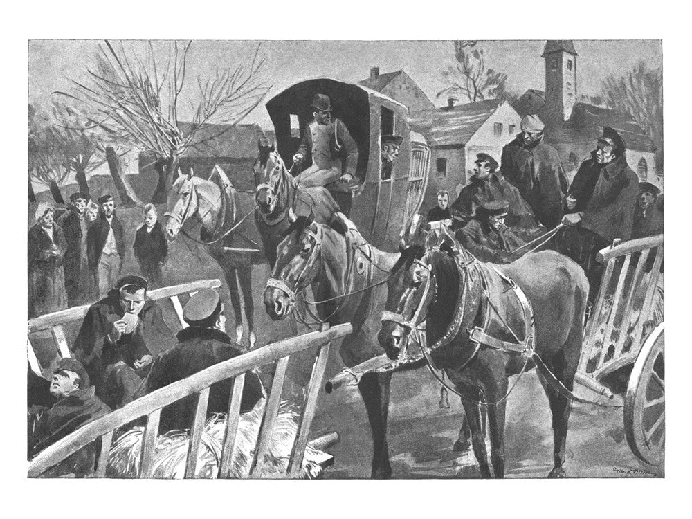 Война и мир: роман. В 2 т