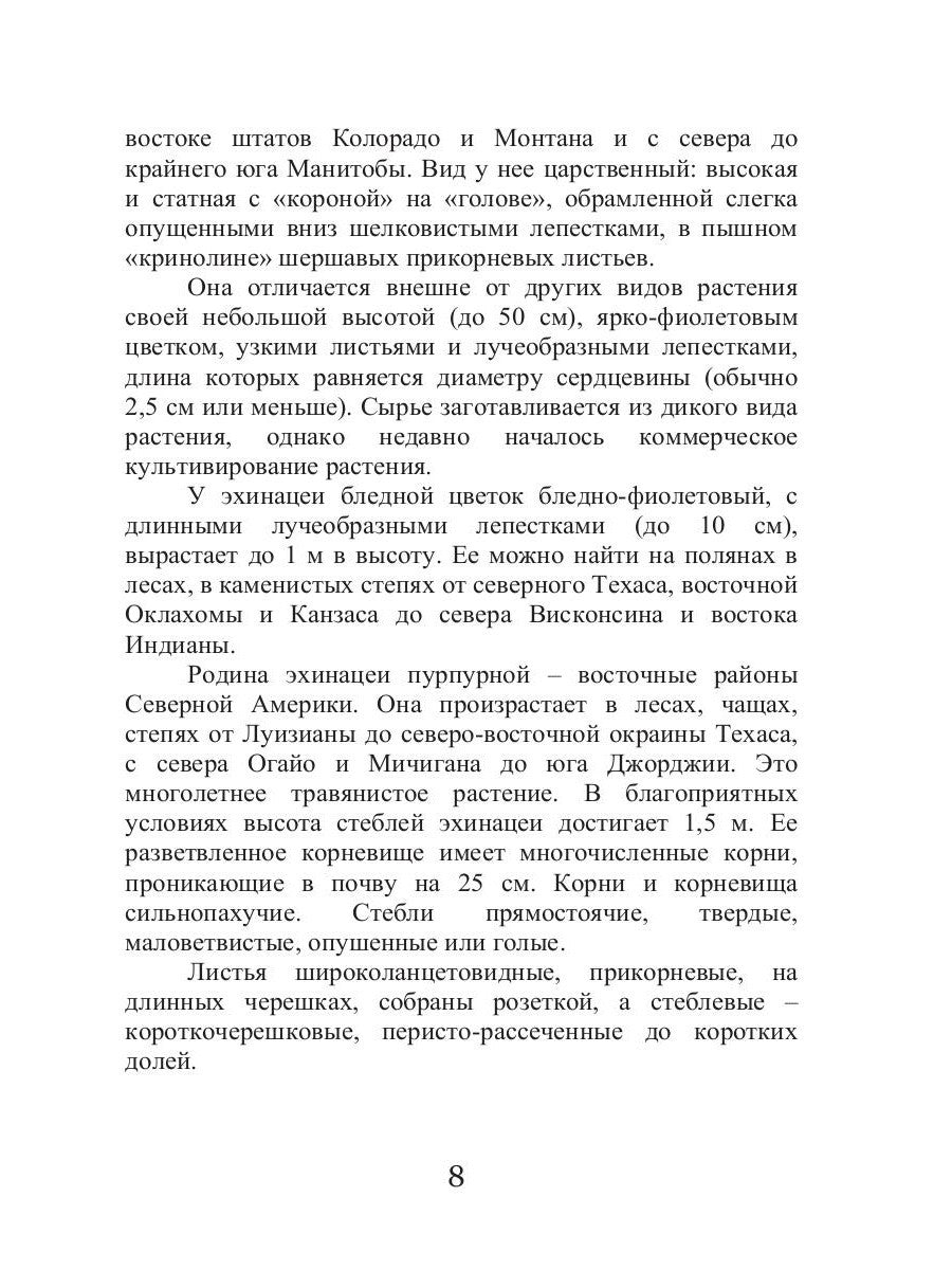 Эхинацея - ваша панацея