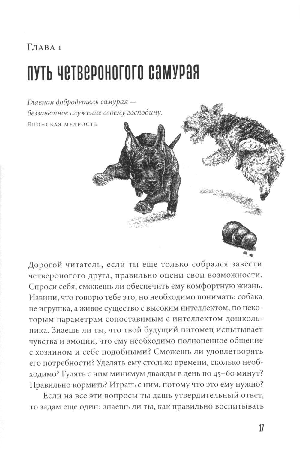 Мы, собаки и другие животные: Записки дрессировщика