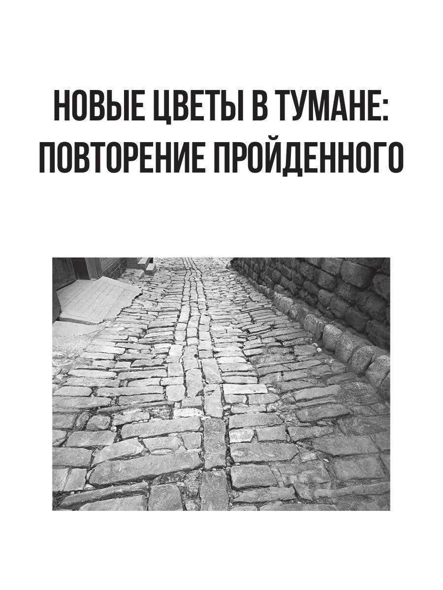 Цветы в тумане. Вглядываясь в Азию