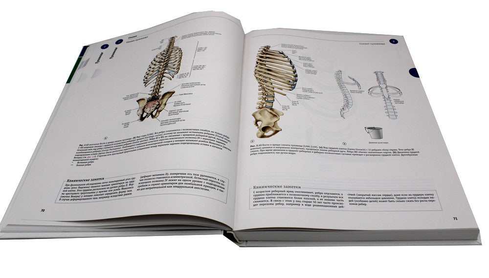 Sobotta. Атлас анатомии человека. В 3 т. Т. 1: Общая анатомия и костно-мышечн...