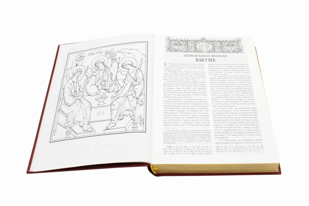 Библия. Книги Священного Писания Ветхого и Нового Завета (золотой обрез)