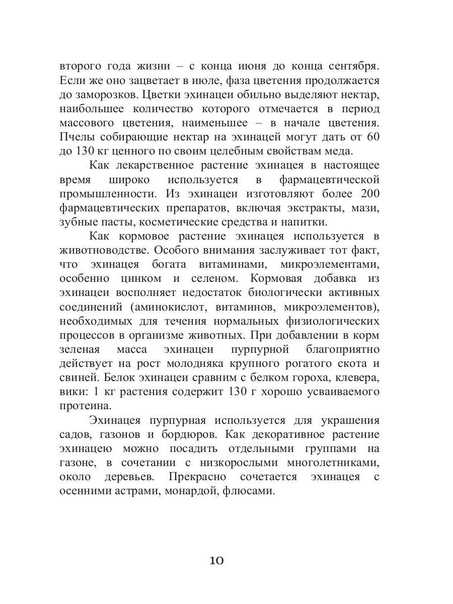 Эхинацея - ваша панацея