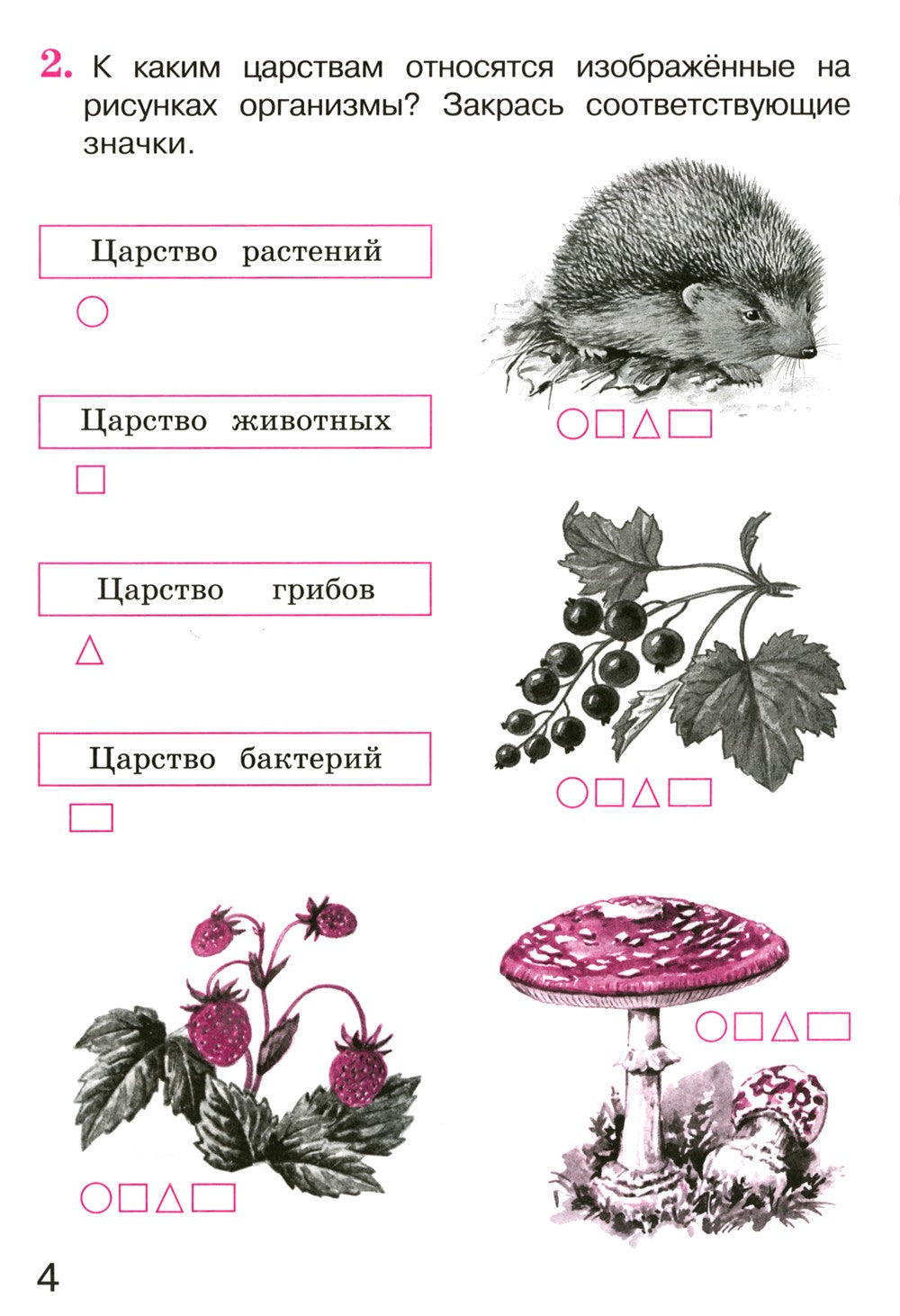 Окружающий мир 3 класс. Комплект тетрадей в 2-х частях для тренировки и самоп...