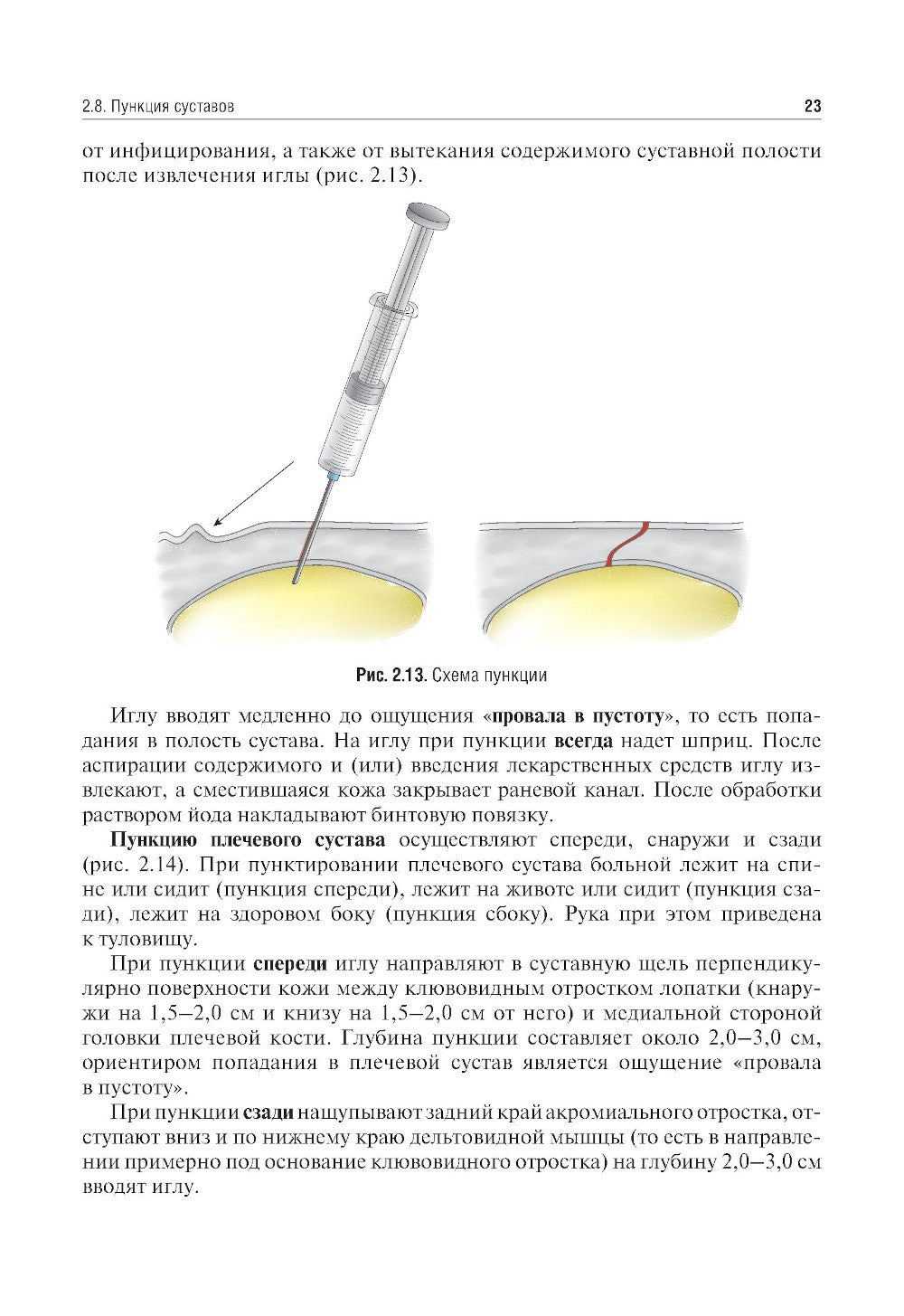 Топографическая анатомия и оперативная хирургия. Руководство к практическим з...