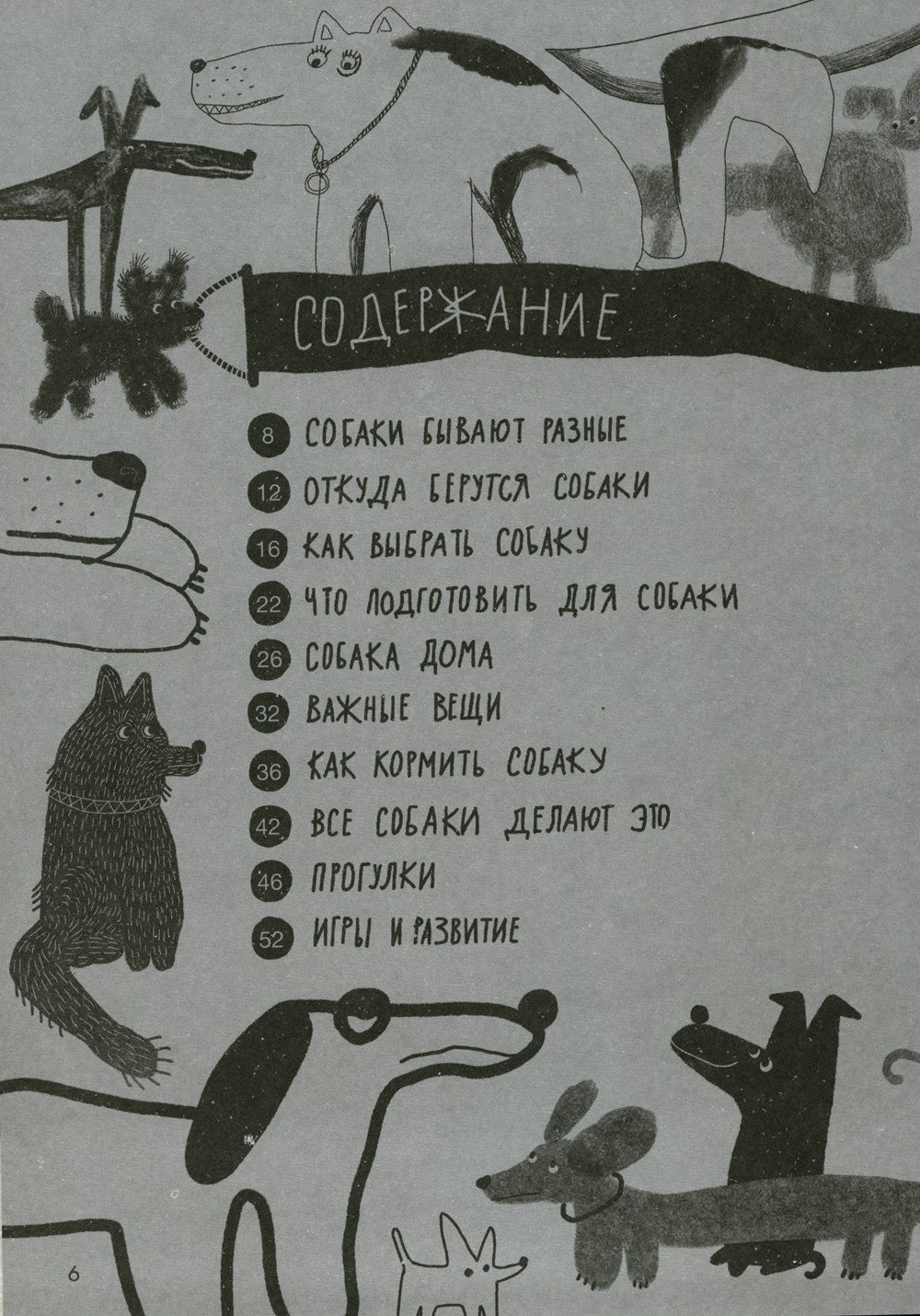Твоя собака