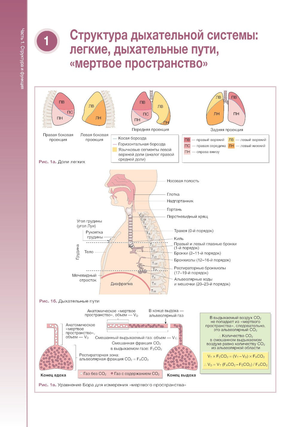 Наглядная пульмонология. 2-е изд