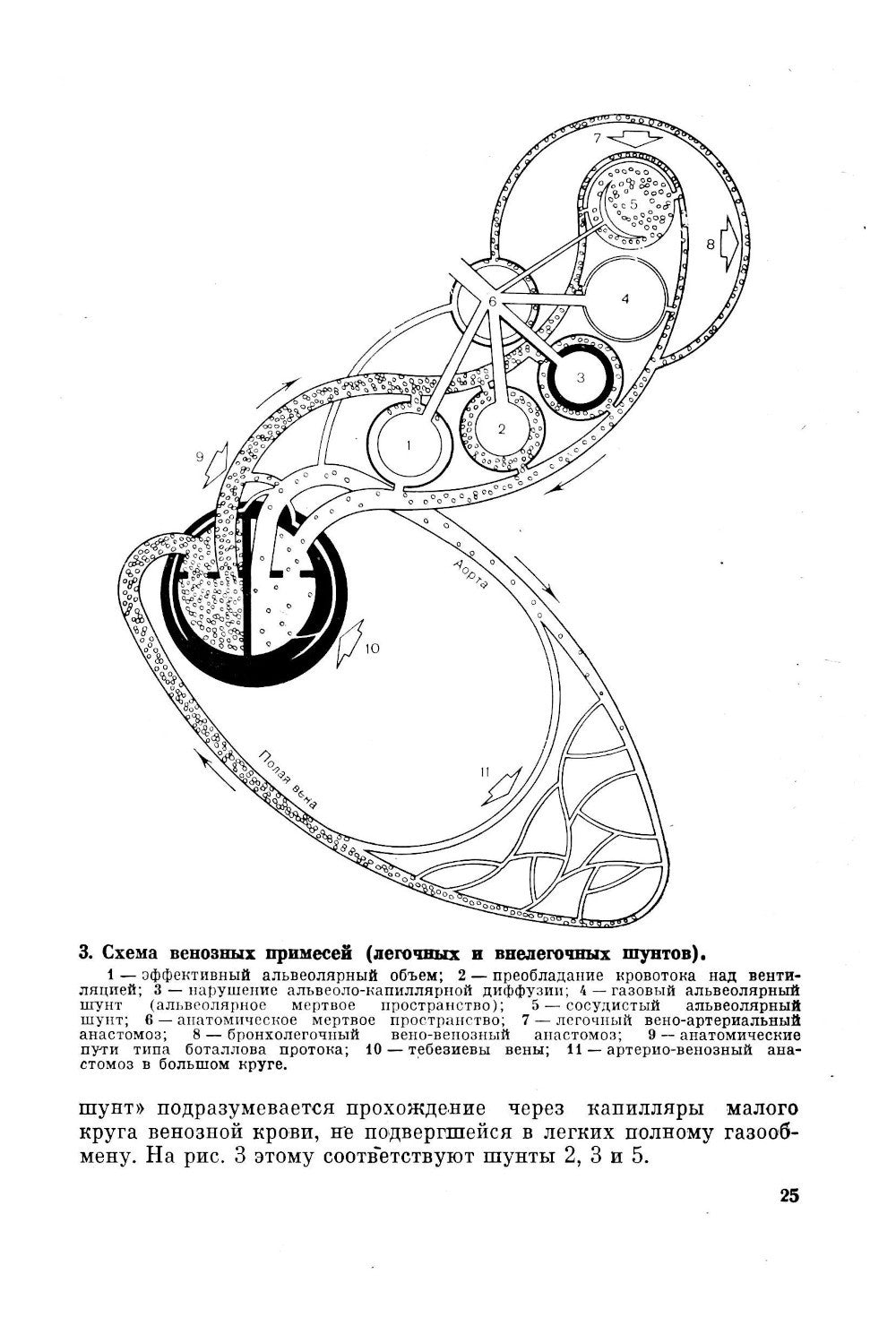 Клиническая физиология для анестезиолога. факсимильное издание. 2-е изд