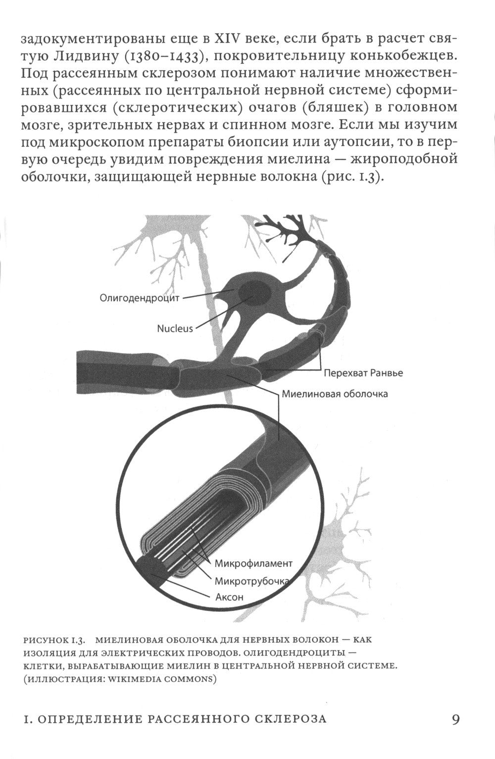 Поговорим о рассеянном склерозе: Семь шагов к преодолению болезни