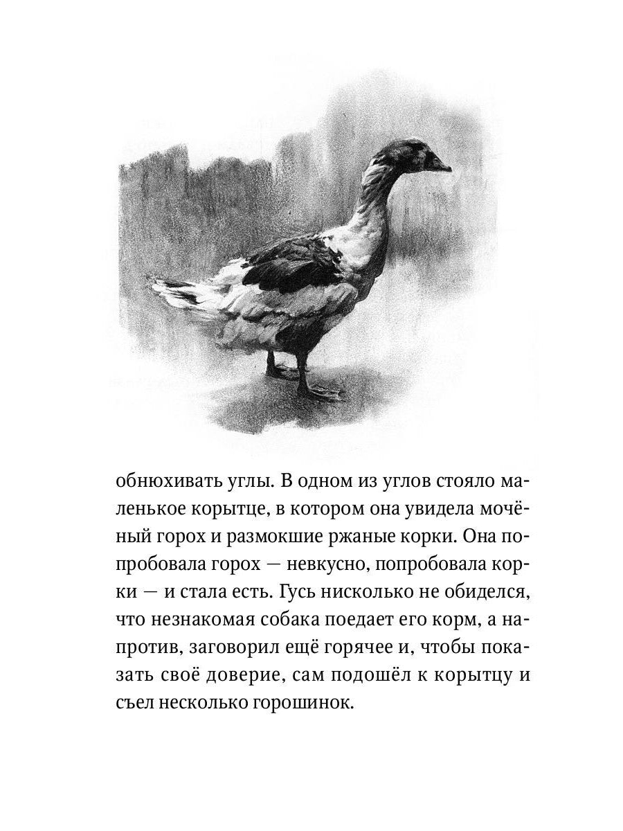 Каштанка: рассказ