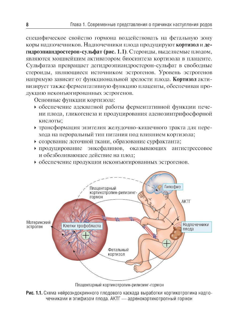 Клиническое течение родов: Учебное пособие