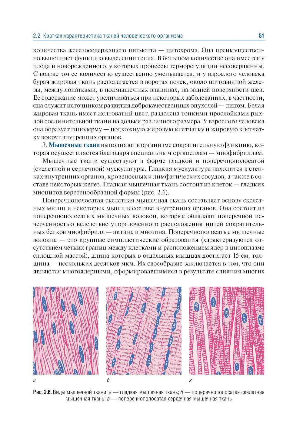 Анатомия человека. В 2 т. Т. 1. Система органов опоры: Учебник. 3-е изд., пер...
