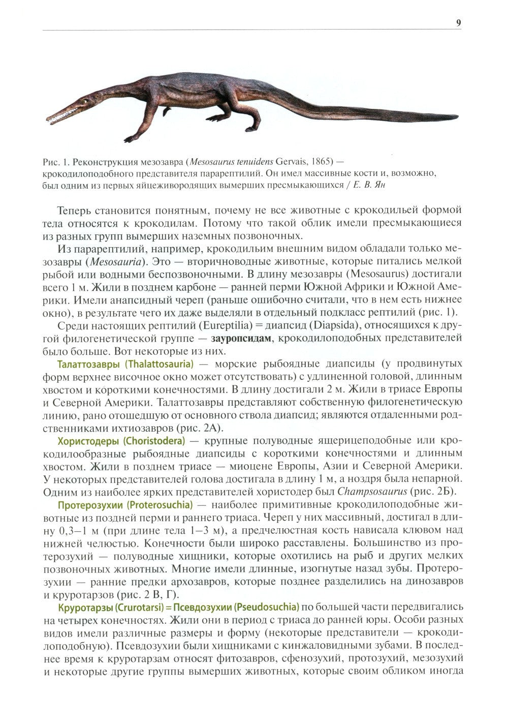 Крокодилы мира. Энциклопедия