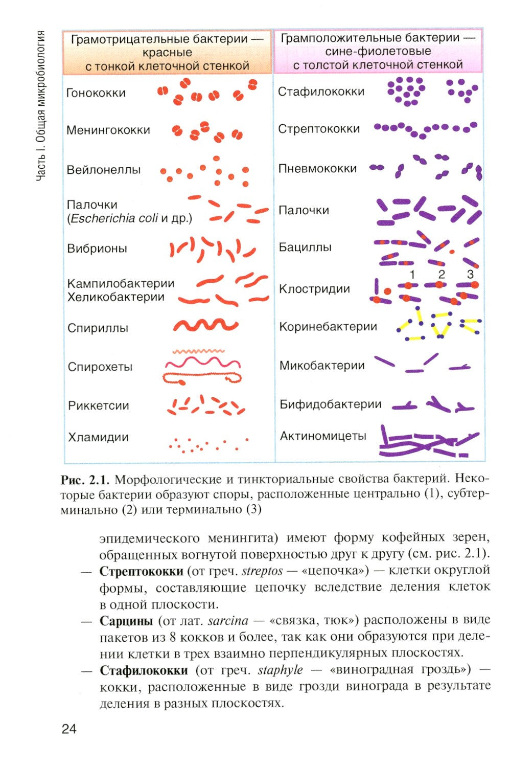 Основы микробиологии и иммунологии: Учебник