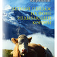 Летний пейзаж на фоне издыхающей коровы (зарисовки почти с натуры)