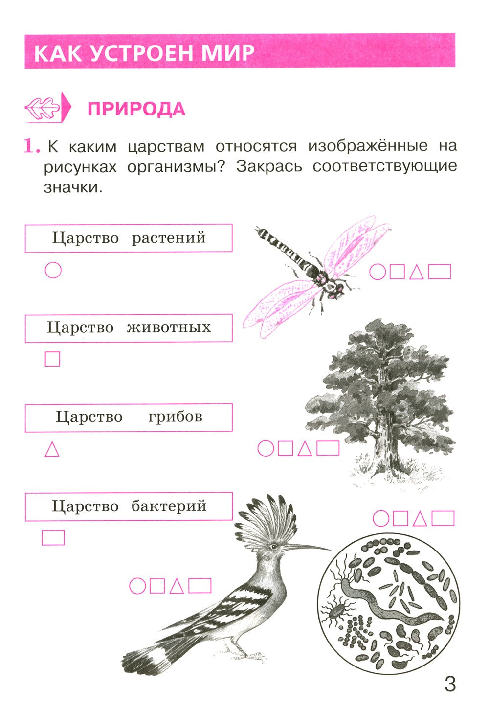 Окружающий мир 3 класс. Комплект тетрадей в 2-х частях для тренировки и самоп...