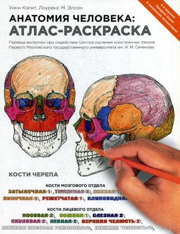 Анатомия человека: атлас-раскраска