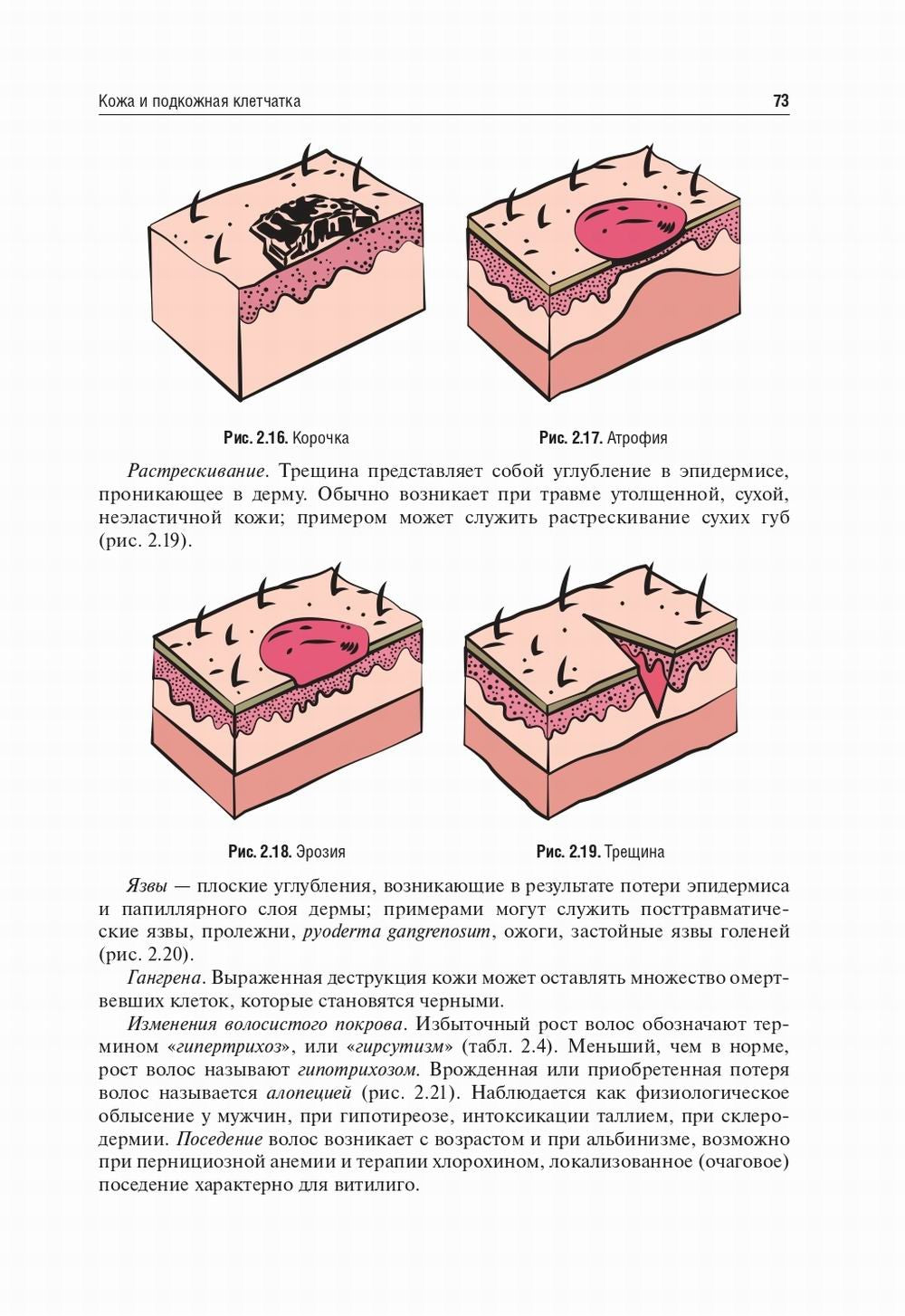 Пропедевтика внутренних болезней: Учебник