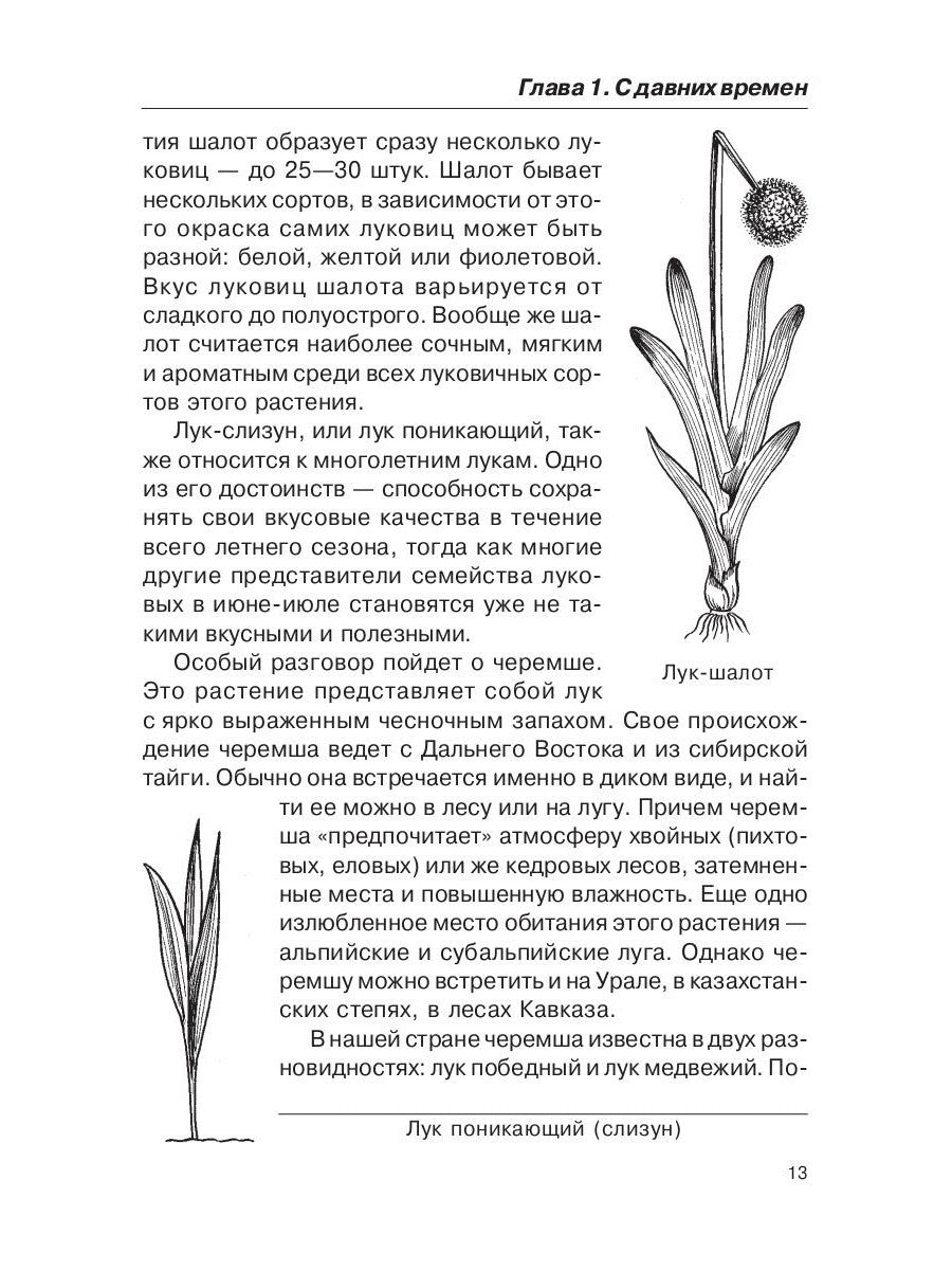 Лечением луком