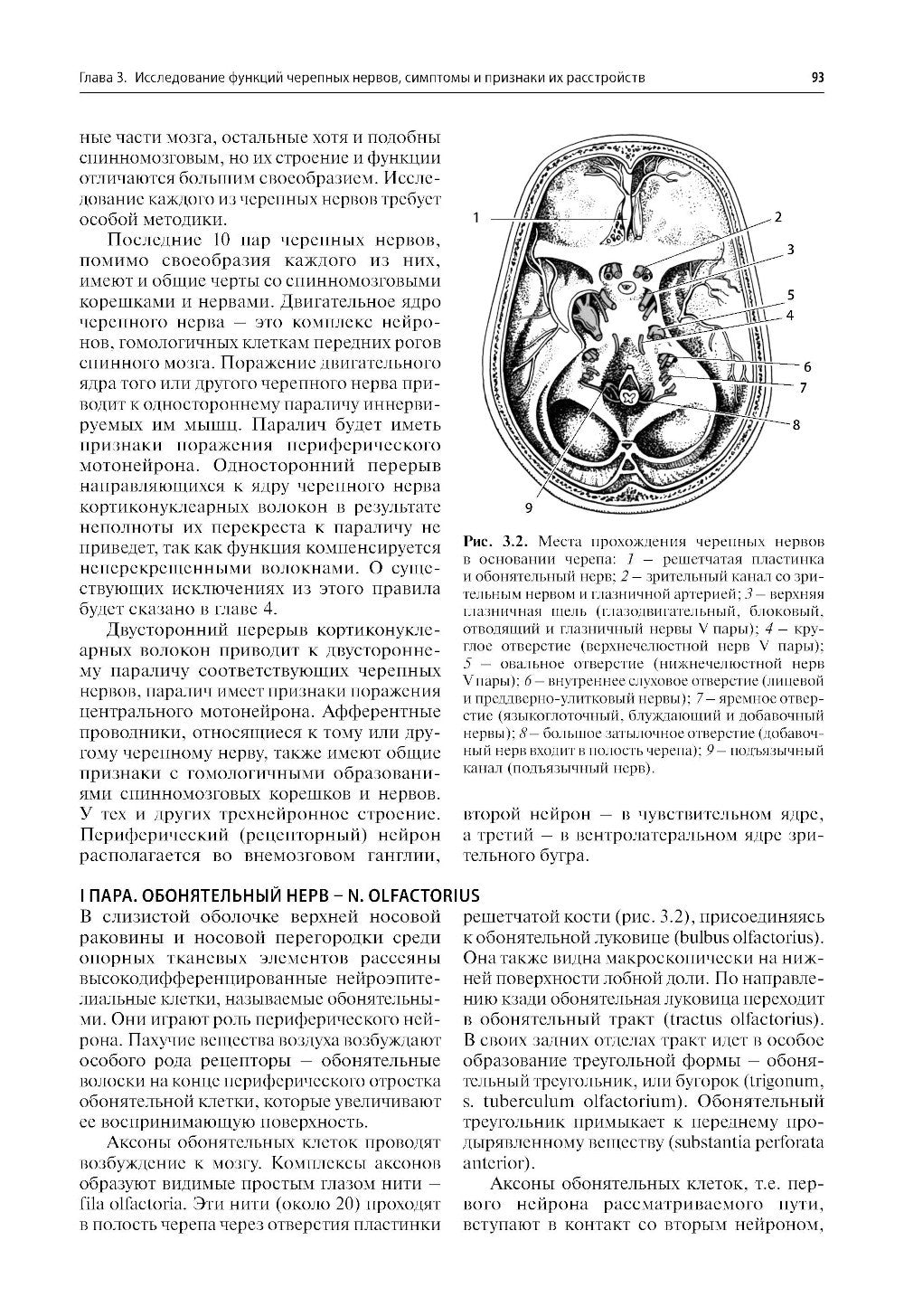 Нервные болезни: Учебник. 13-е изд