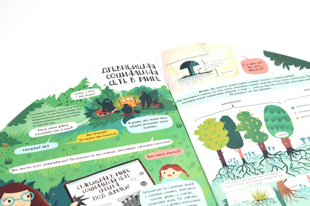 Вокруг лесов: исследуем уникальные уголки планеты