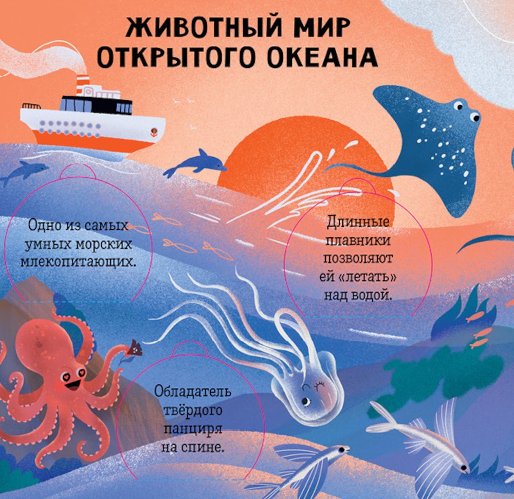Океаны и моря. Энциклопедия с окошками