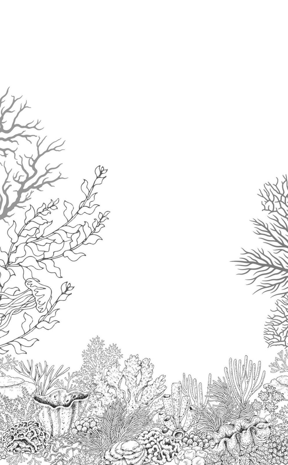 Королева ничего. Злой король (комплект из 2-х книг)