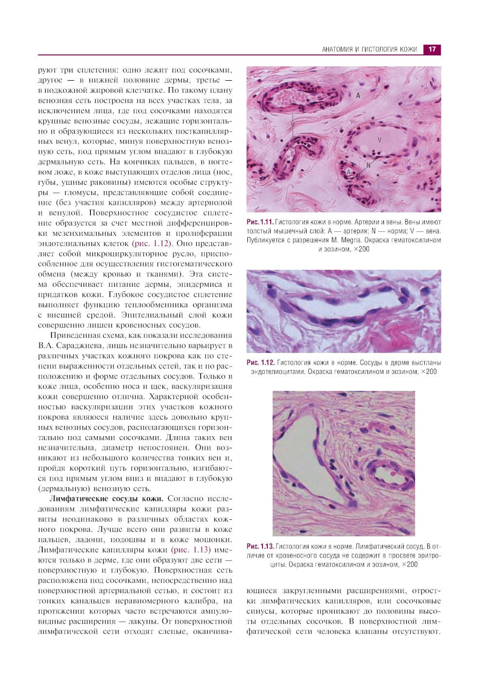 Клиническая дерматология. Иллюстрированное руководство для врачей. 2-е изд., ...