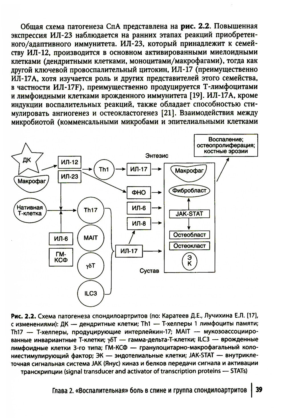 Боль в спине как междисциплинарная проблема: руководство для врачей