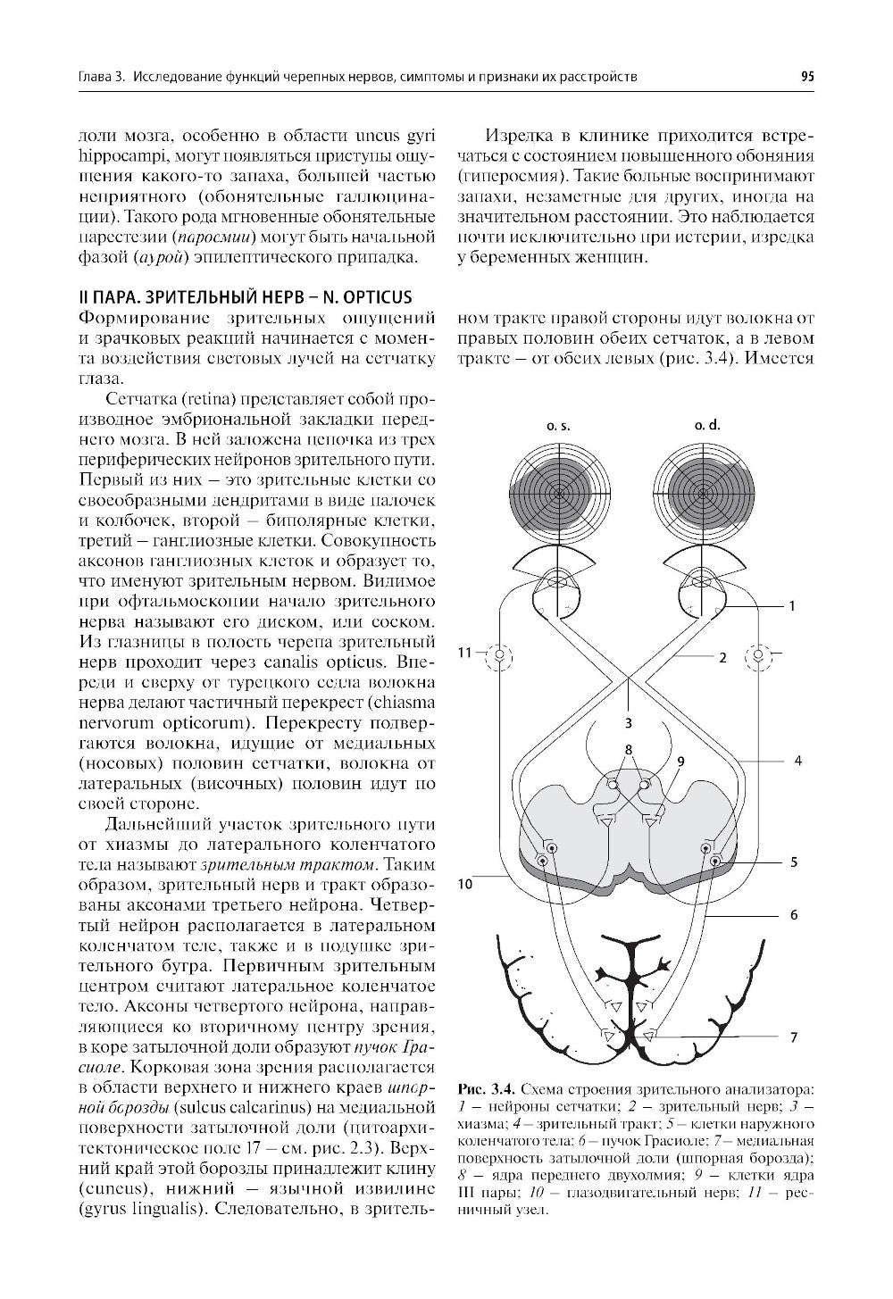 Нервные болезни: Учебник. 13-е изд