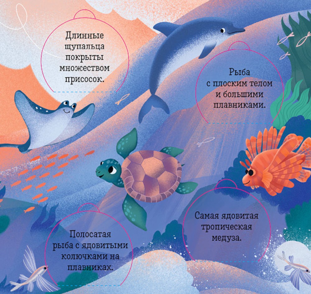 Океаны и моря. Энциклопедия с окошками