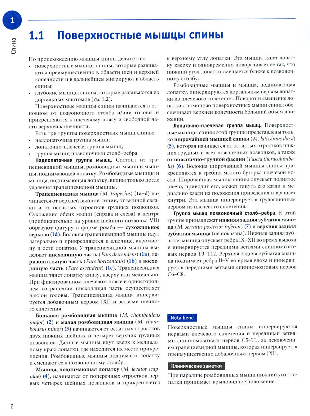 Sobotta. Рабочая тетрадь по анатомии человека