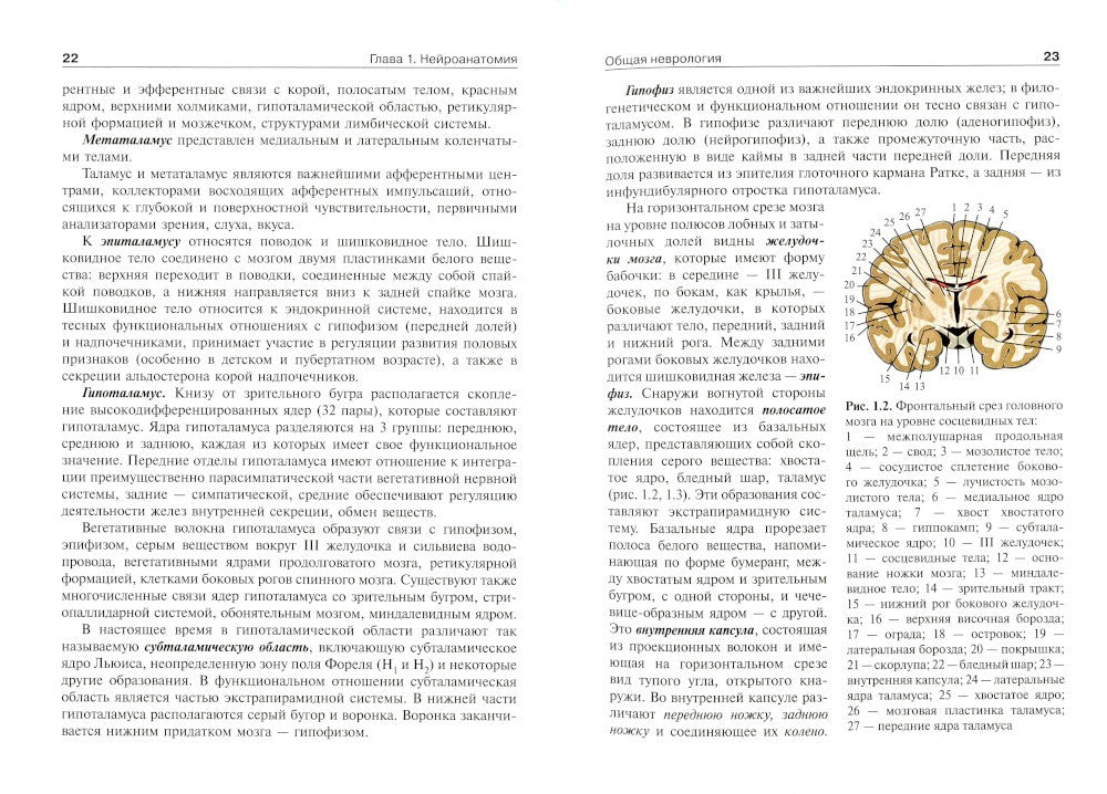 Детская неврология и нейрохирургия: Учебник. В 2 т. Т. 1