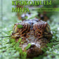 Крокодилы мира. Энциклопедия