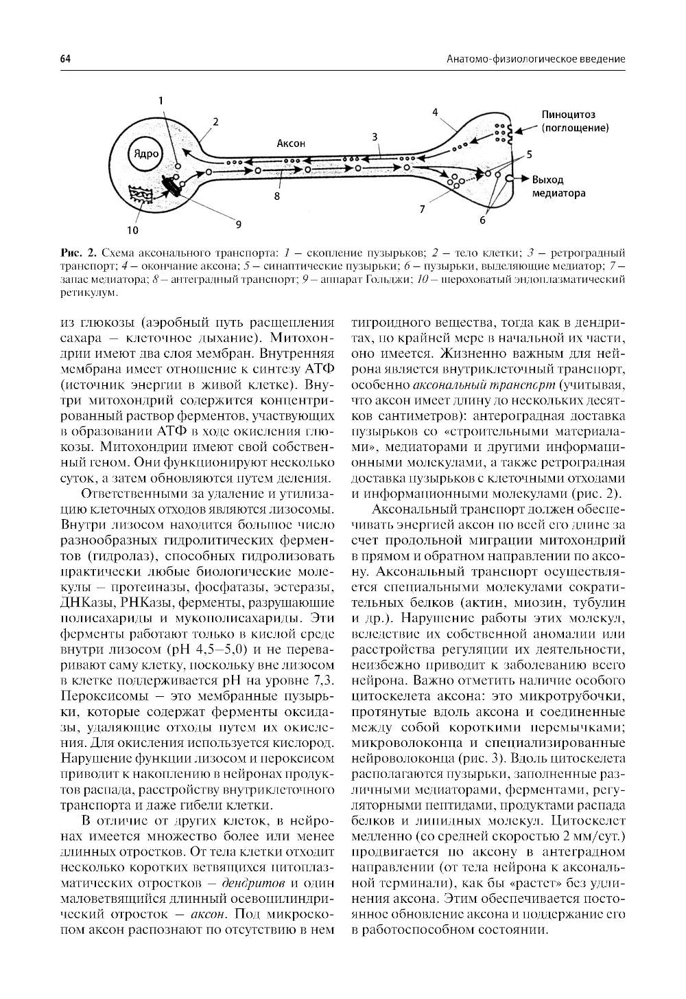 Нервные болезни: Учебник. 13-е изд